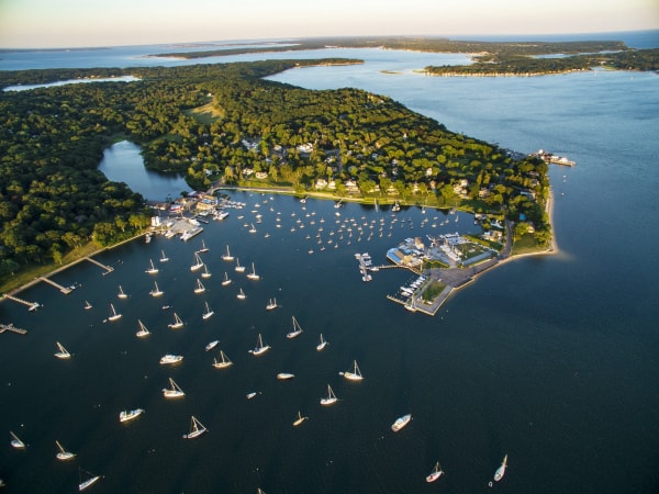 Ross School  罗斯中学