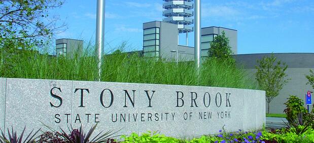 纽约州大学石溪分校