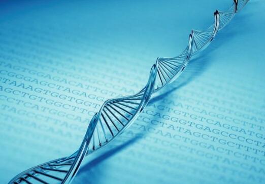 自然科学生物、生命科学